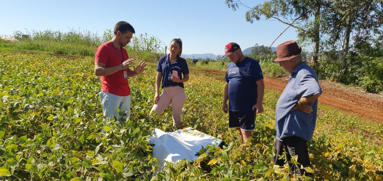BNDES anuncia R$ 60 milhões para cooperativas de agricultura familiar