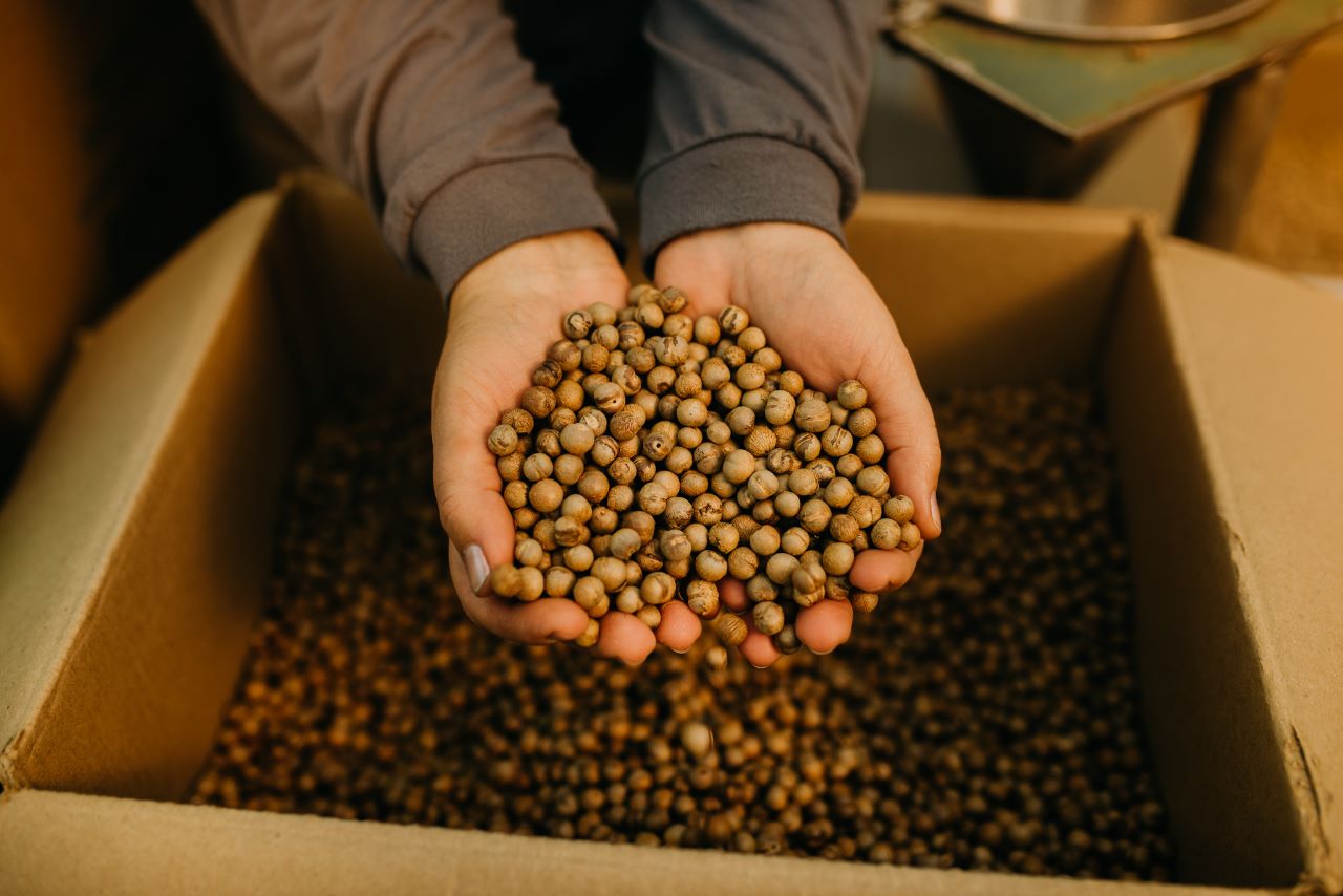 A Mercur tem usado insumos de origem renovável como o caroço de açaí da palmeira juçara