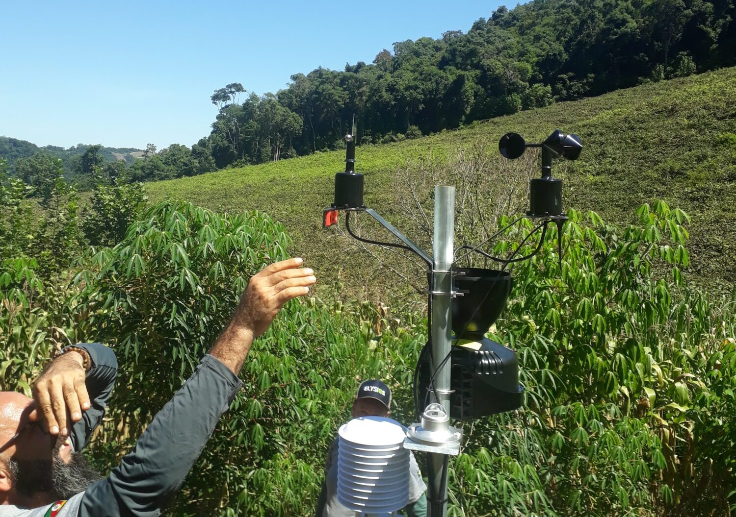 meteorológicas produtores uva RS