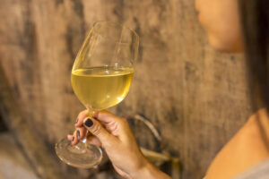 Dom Pedrito sedia 4º Fórum de Vitivinicultura da Campanha