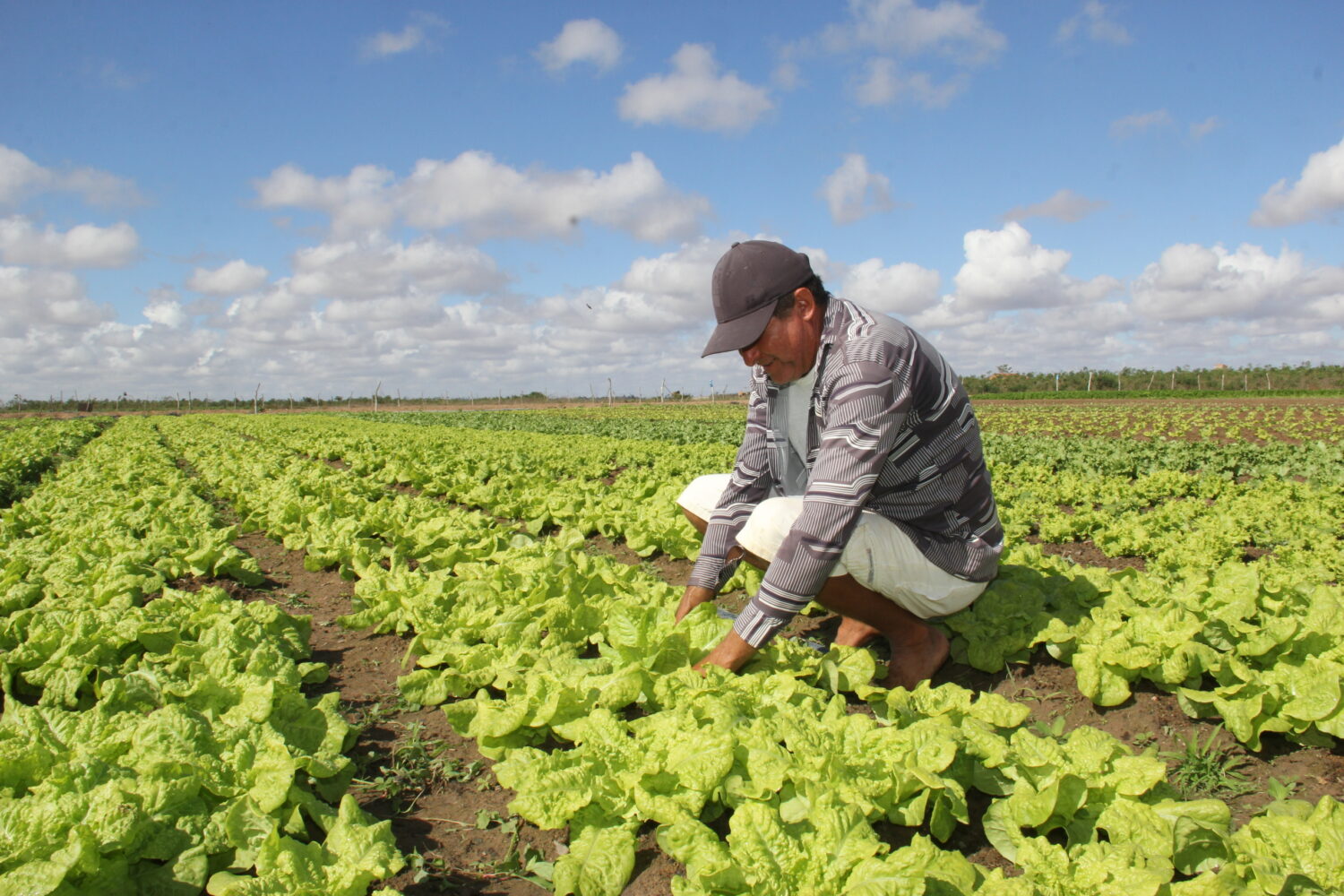 Inadimplência no campo atinge 7,7% da população rural