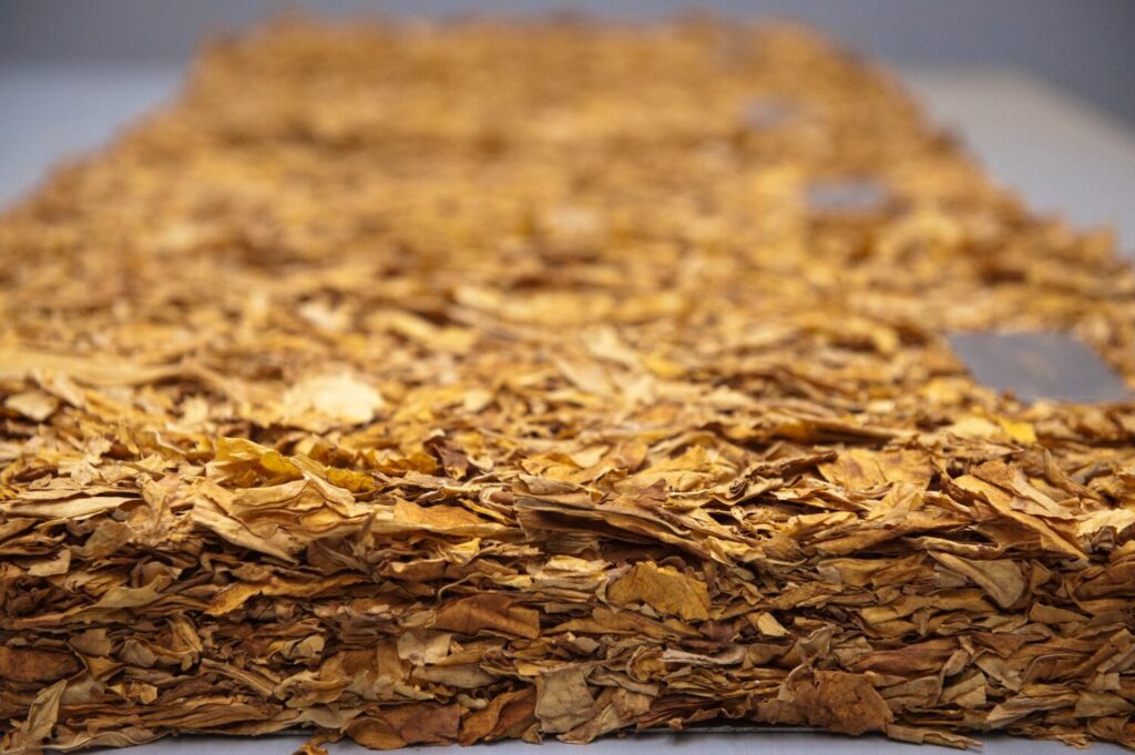 Exportações de tabaco alcançam quase US$ 3 bilhões em 2024