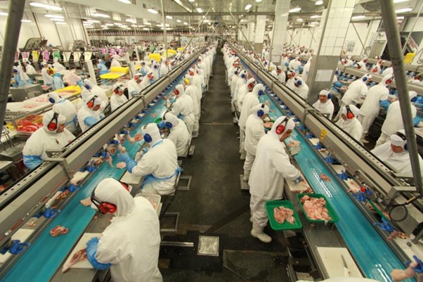 Exportações de frango brasileiro à países árabes segue em alta
