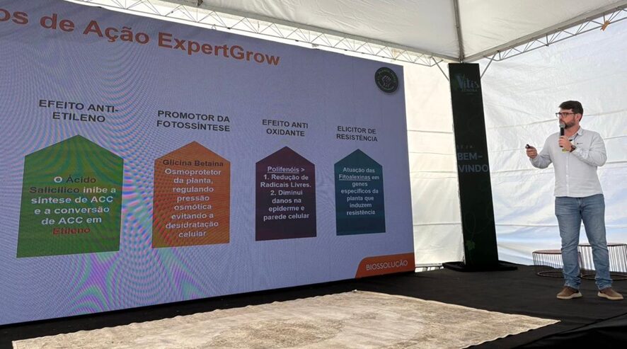 ADAMA leva conhecimento sobre biossoluções ao Vitis Aurora 2025