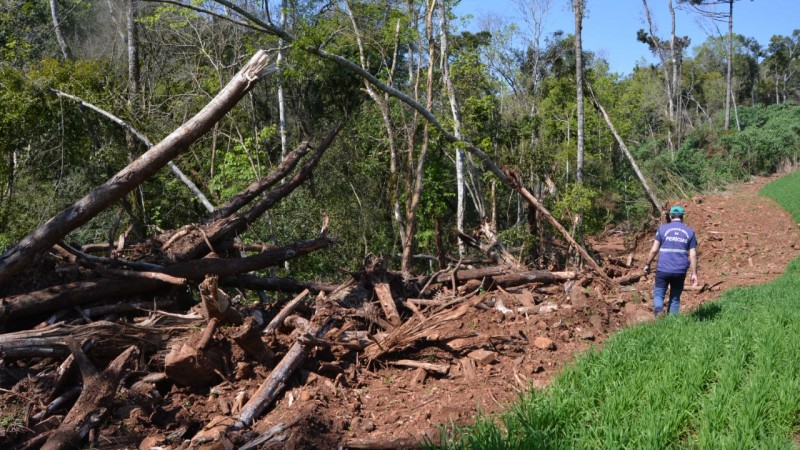 BNDES evita mais de R$ 100 milhões em crédito à desmatadores