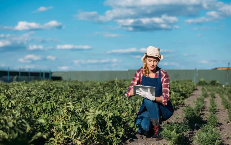 Agronegócio brasileiro atinge recorde de trabalhadores
