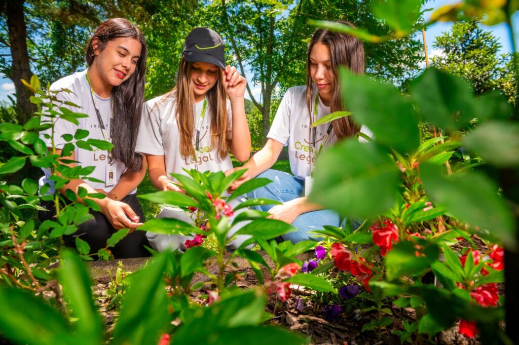Instituto Crescer Legal integra plataforma da ONU