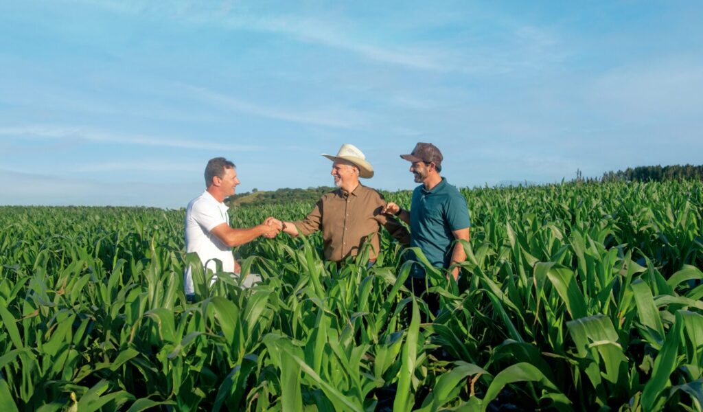 Sicredi fortalece parceria com o produtor rural no Plano Safra