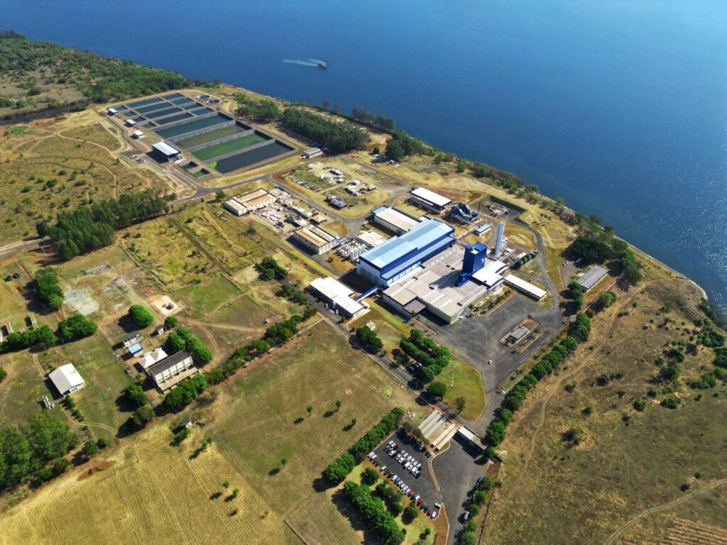 JBS entra no mercado de saúde e beleza com o novo colágeno