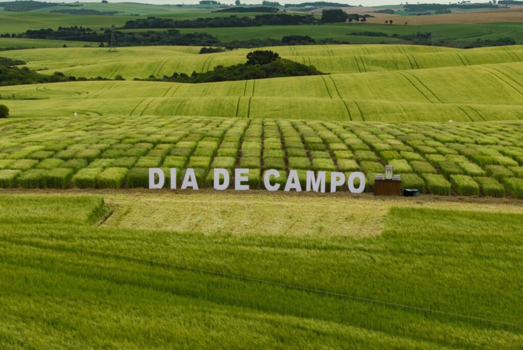 Cevada gaúcha ganha destaque em evento da Ambev