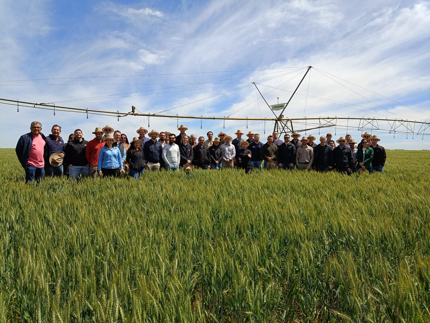 Indústria aposta em qualidade do trigo gaúcho para safra 2025