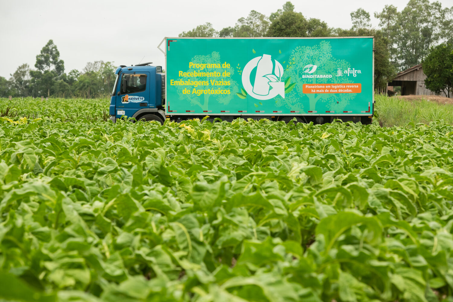Programa pioneiro de logística reversa completa 25 anos