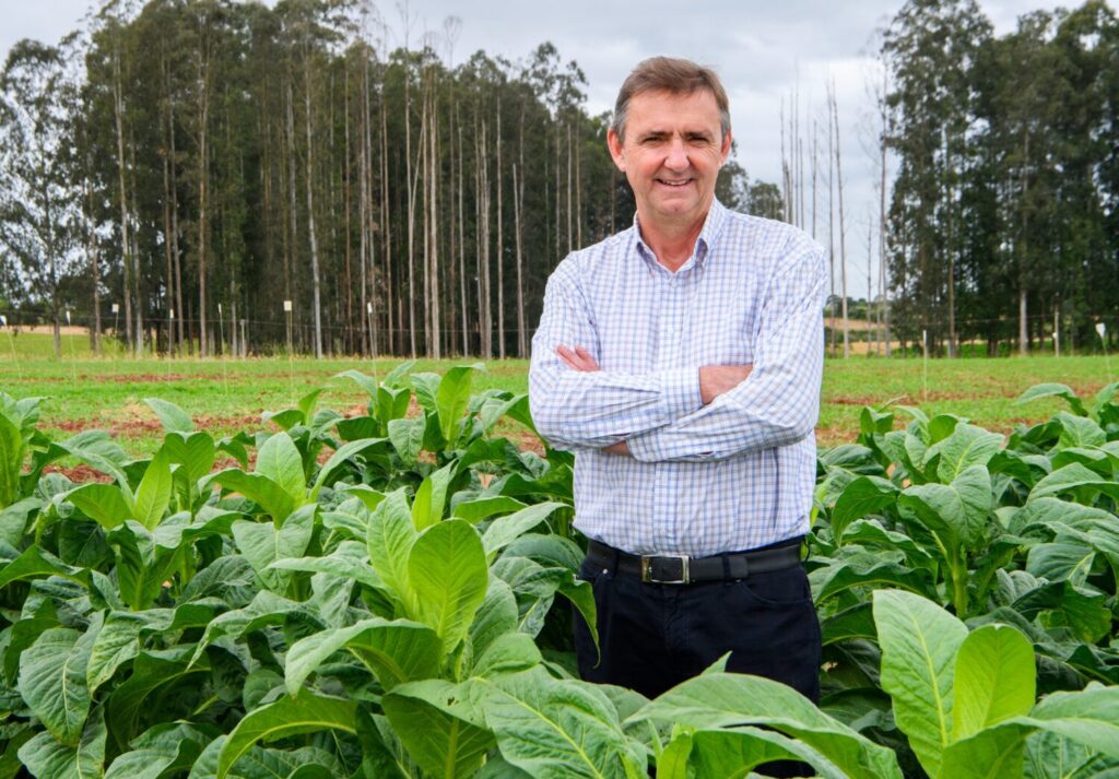 Santa Cruz do Sul recebe 7ª Abertura Oficial da Colheita do Tabaco