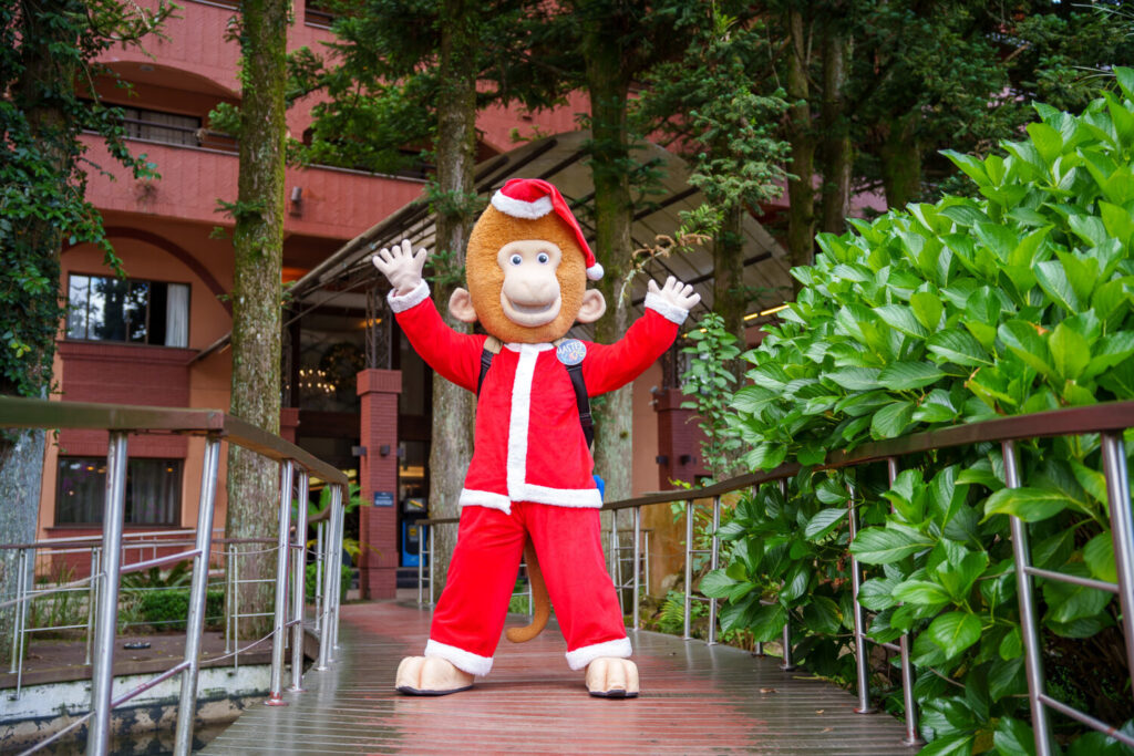 Rede Master perto da lotação máxima em Gramado