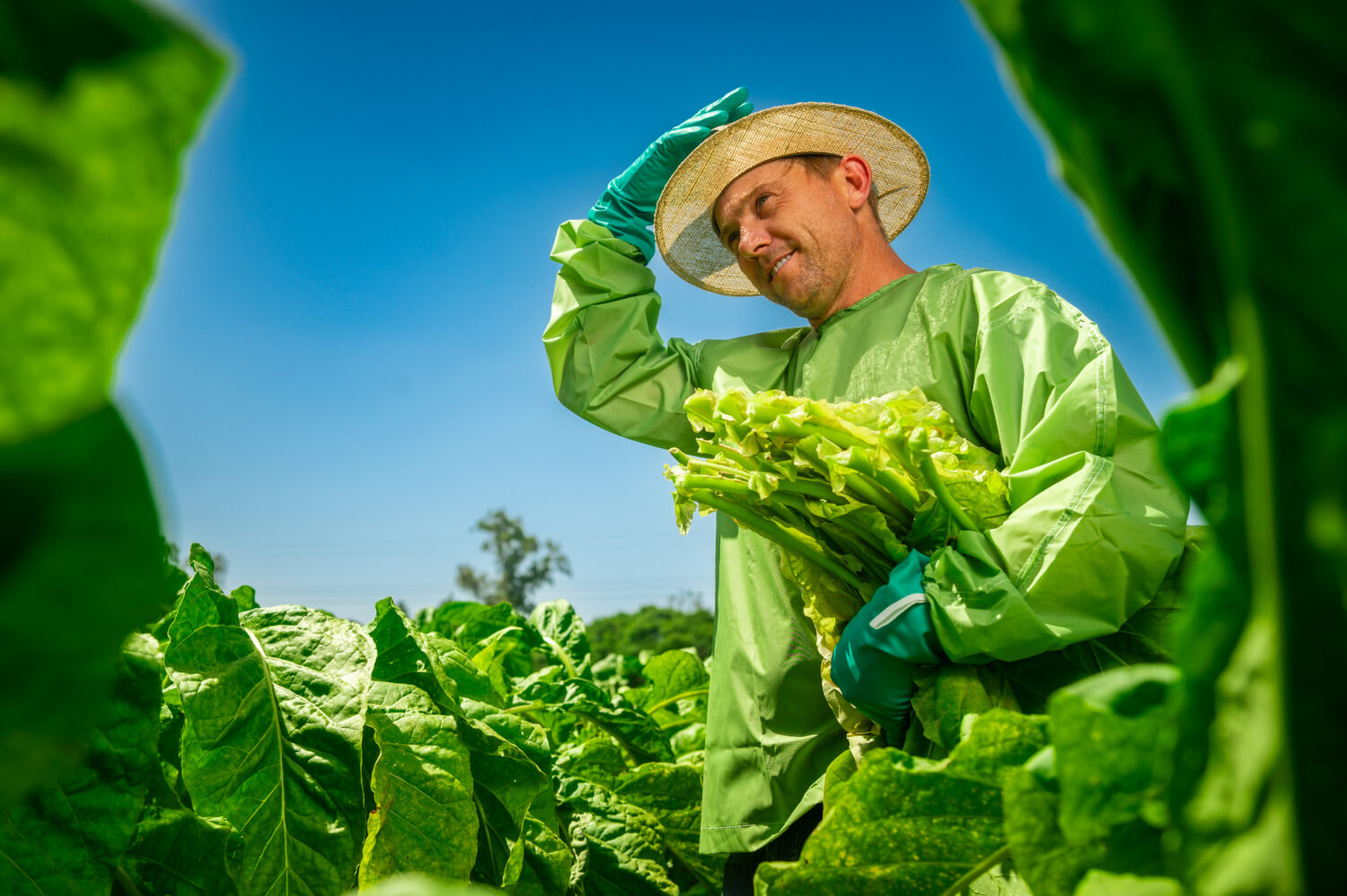 SindiTabaco lança campanha de preparação para emergências