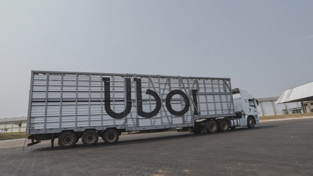 Uboi ultrapassa 5 milhões de cabeças de gado transportadas