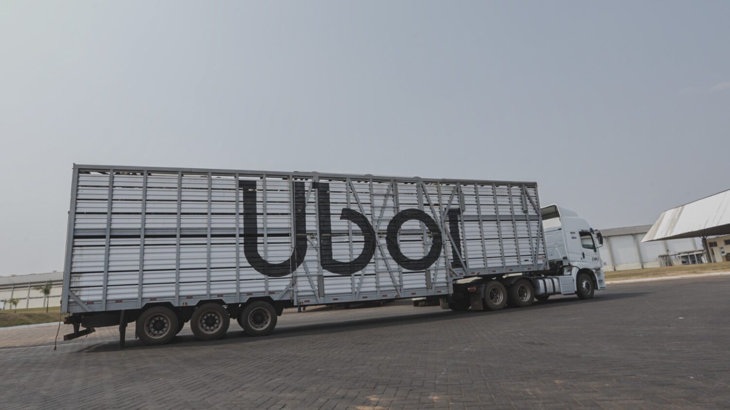 Uboi ultrapassa 5 milhões de cabeças de gado transportadas