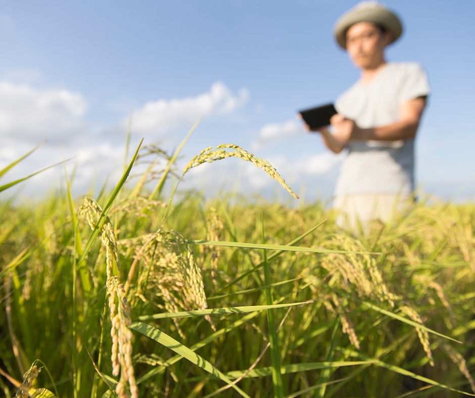 Reforma Tributária para produtores rurais começa em 1º de janeiro