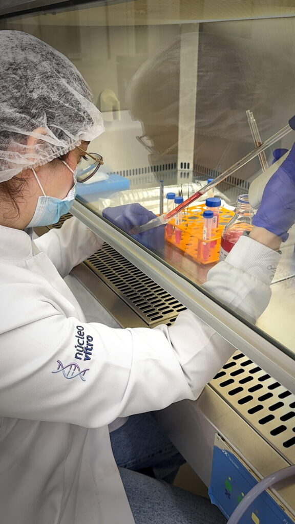 Startup gaúcha vence programa de aceleração Mulheres Inovadoras