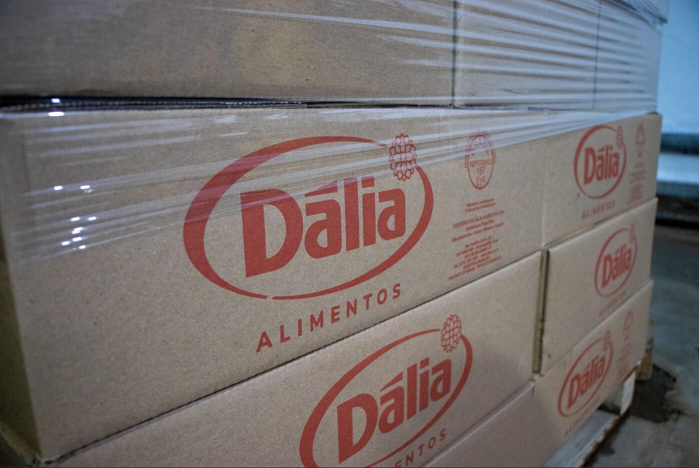 Dália obteve crescimento próximo a 40% em exportações