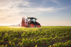 Custos de produção estabilizam, mas preços ao produtor caem