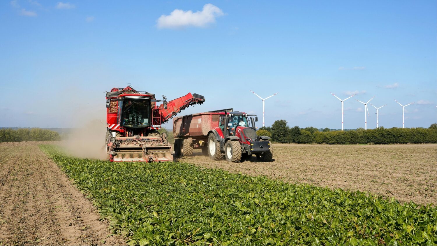 Agronegócio tem até 24 de fevereiro para garantir créditos fiscais