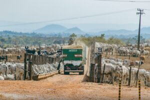 Casale leva inovações para pecuária a Não-Me-Toque