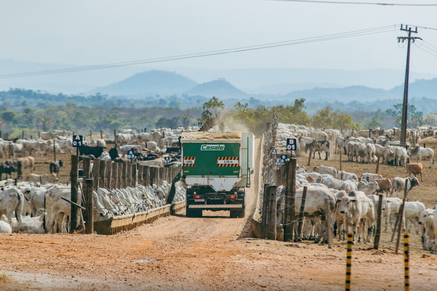 Casale leva inovações para pecuária a Não-Me-Toque