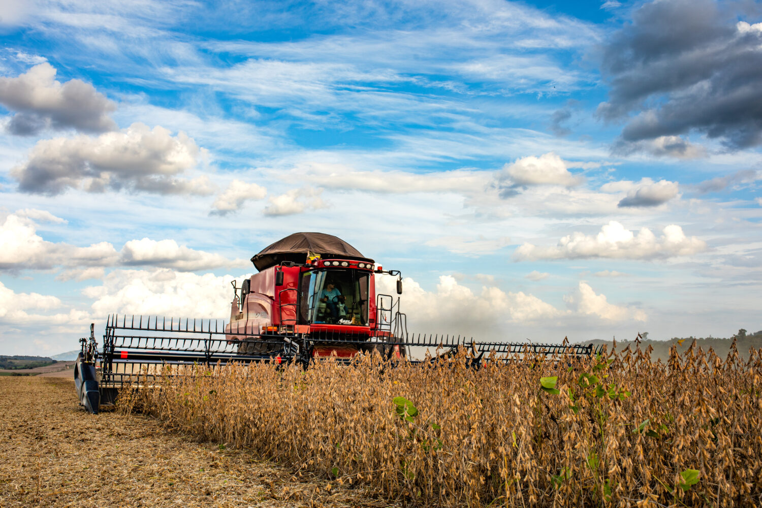BASF impulsiona o agro gaúcho com soluções integradas