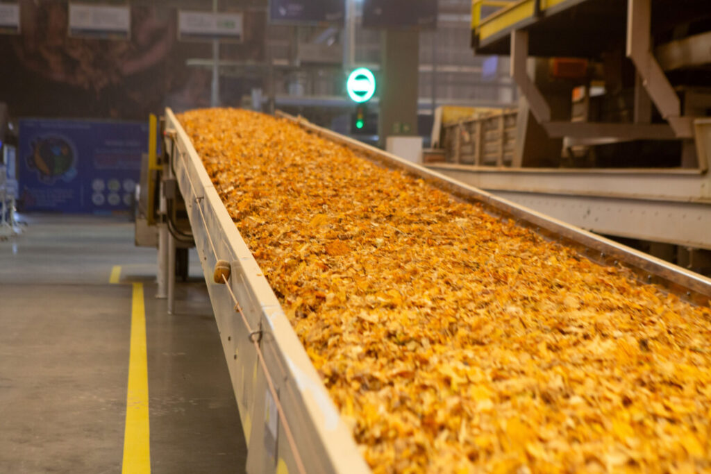 Brasil registra recorde histórico nas exportações de tabaco