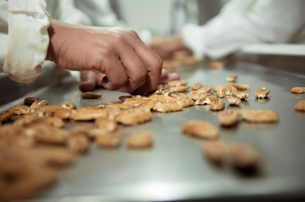 Divinut leva para a Expodireto perspectivas de super safra de noz-pecã