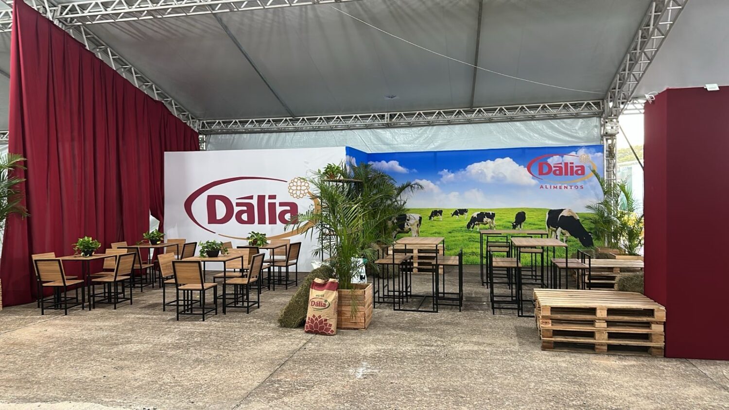 Dália aguarda associados durante Festa do Chimarrão