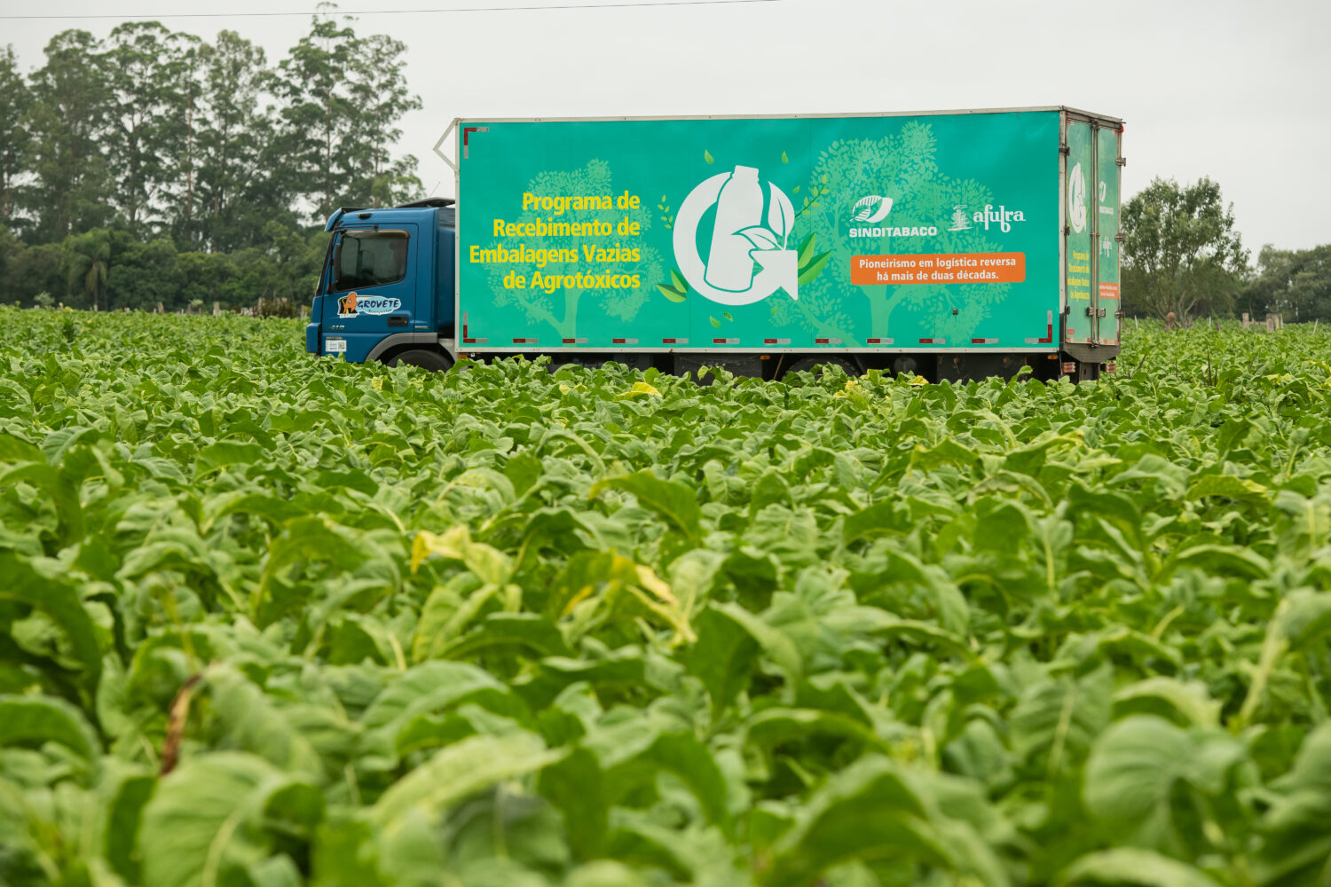 Programa promove a reciclagem das embalagens de agrotóxicos
