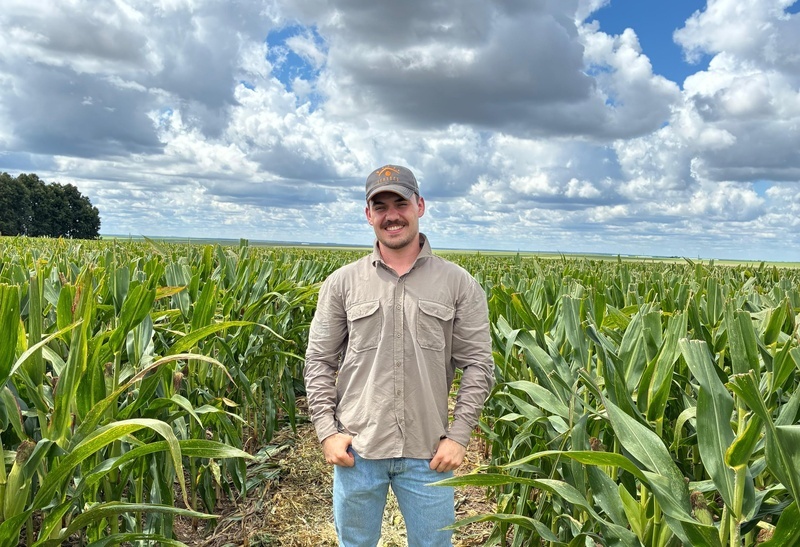 Corteva Agriscience abre inscrições para Programa de Estágio