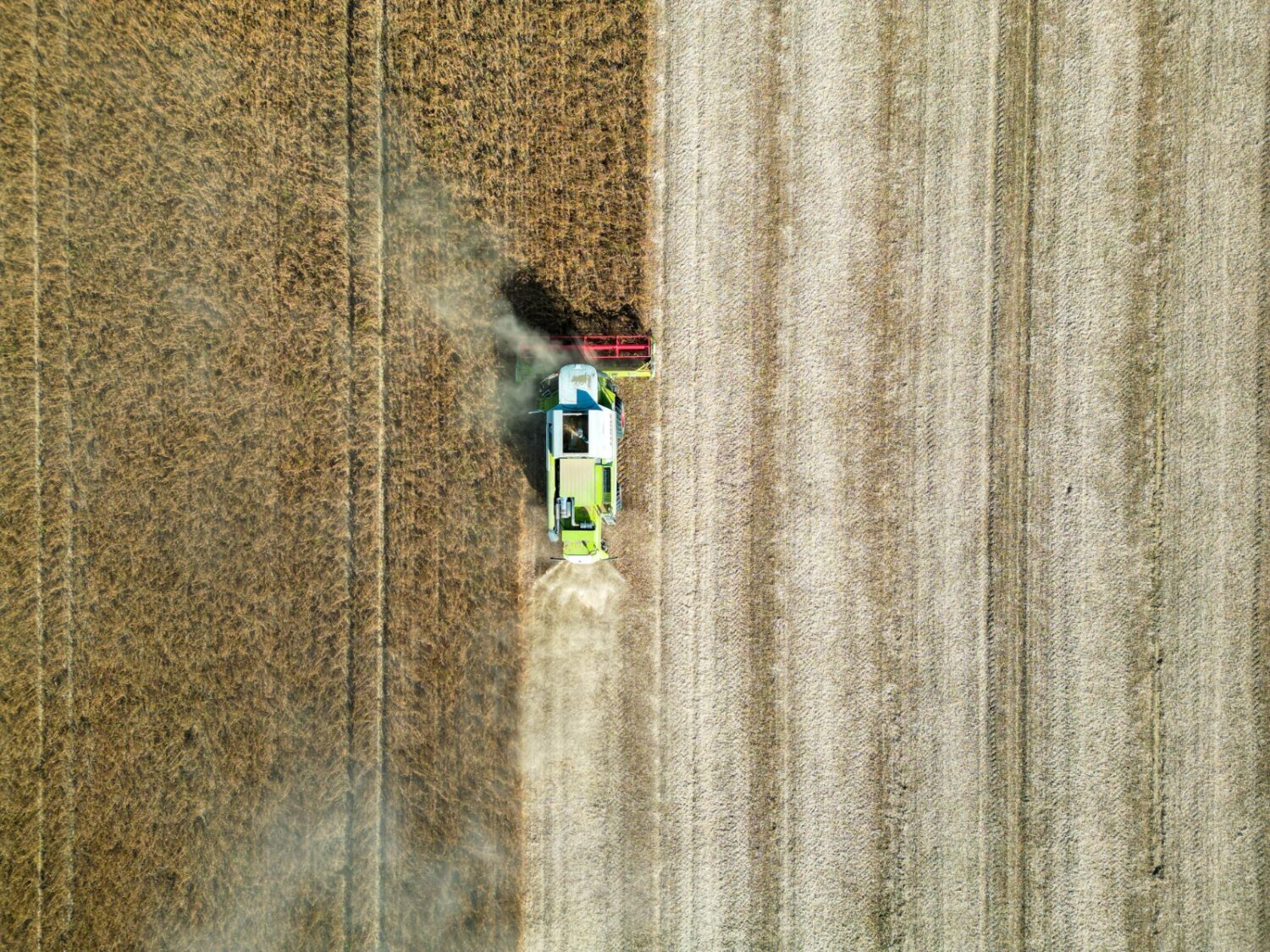 Renegociação das dívidas do agro avança no Congresso 