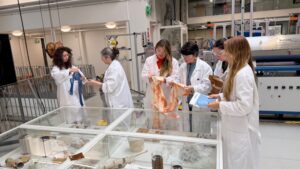 Lojas Renner S.A. e Aalto University firmam parceria inédita