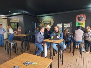 Angus on Dairy impulsionará abates do Carne Angus Certificada