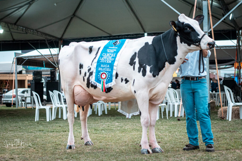 Associados da Cooperativa Santa Clara participam da Expointer