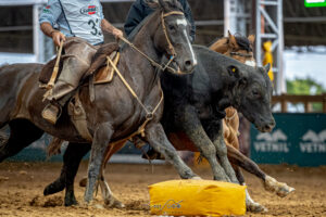 Cavalo Crioulo reúne Freio de Ouro, Morfologia e Supercopa Jovem