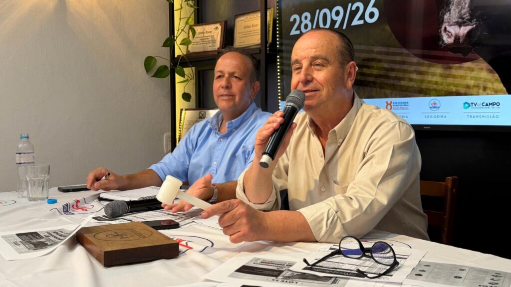 Recalada valoriza genética Angus e sinaliza vendas aquecidas