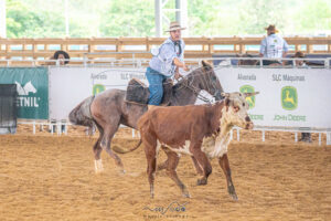 Final do Crioulaço reúne 372 competidores em Esteio