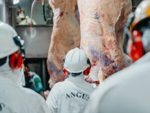 Concurso de Carcaça Angus tem prêmio inédito em insumo